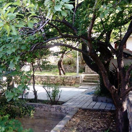 לוקובו Apartman "Tartaruga" מראה חיצוני תמונה